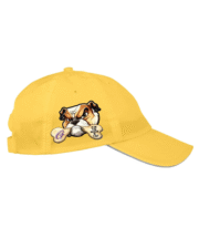 Gooch Gear Gold Cap - Image 4