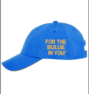 Gooch Gear Blue Cap - Image 4