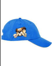 Gooch Gear Blue Cap - Image 3