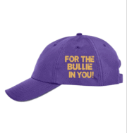 Gooch Gear Purple Cap - Image 4