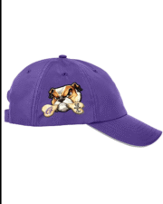 Gooch Gear Purple Cap - Image 3
